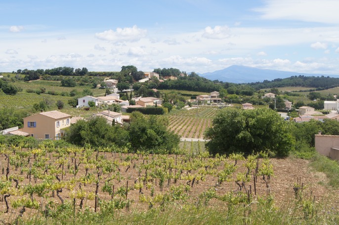The vineyards of Châteauneuf-du-Pape
