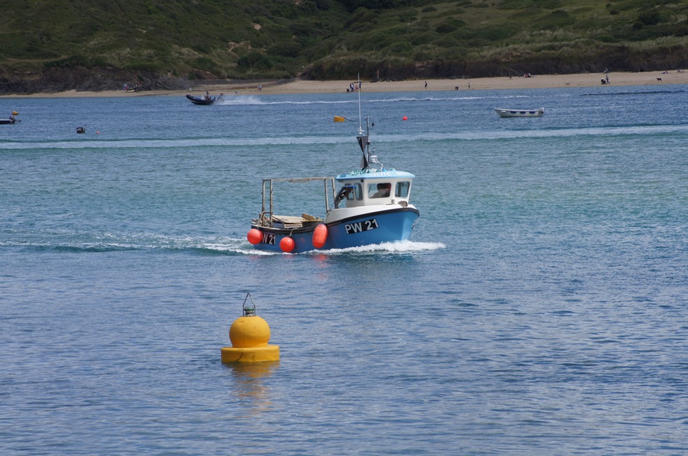 Bringing in the Catch to Padstow