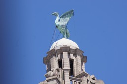 The Liver Bird looking over the Mersey