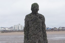 Sir Anthony Gormley's Statues after 9 years on Crosby Beach