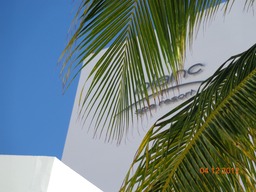 DSC00300