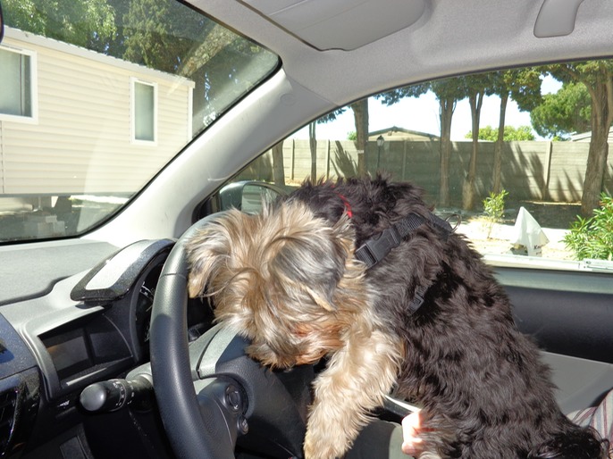 Magan, push the left pedal down; let's get going!