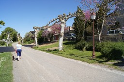 Beautiful Streets