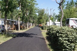 Blue Bayou Camping Club