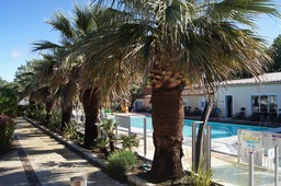 Holiday Marina Pool