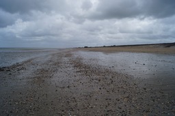 DSC03019