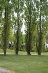 On the campsite of Kawan Village Le Val d'Authie