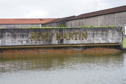Remy Martin