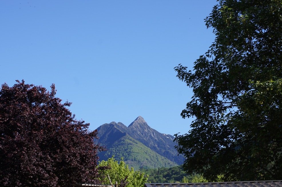 The Pyrenées