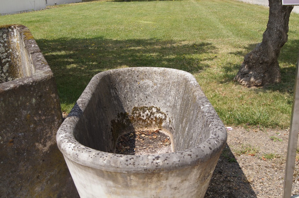 Bath night for Romans