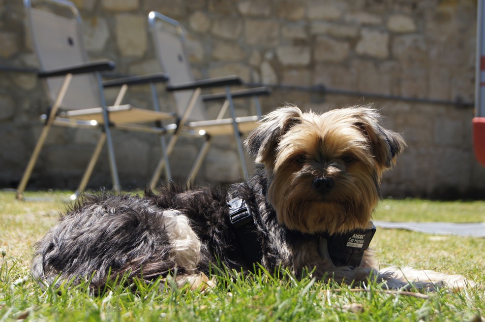 It's hot at Campsite La Croix du Vieux Pont