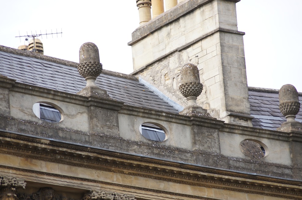Acorns of Bath