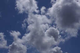 Stay with us, please, Sun