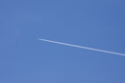 Where are you off to?