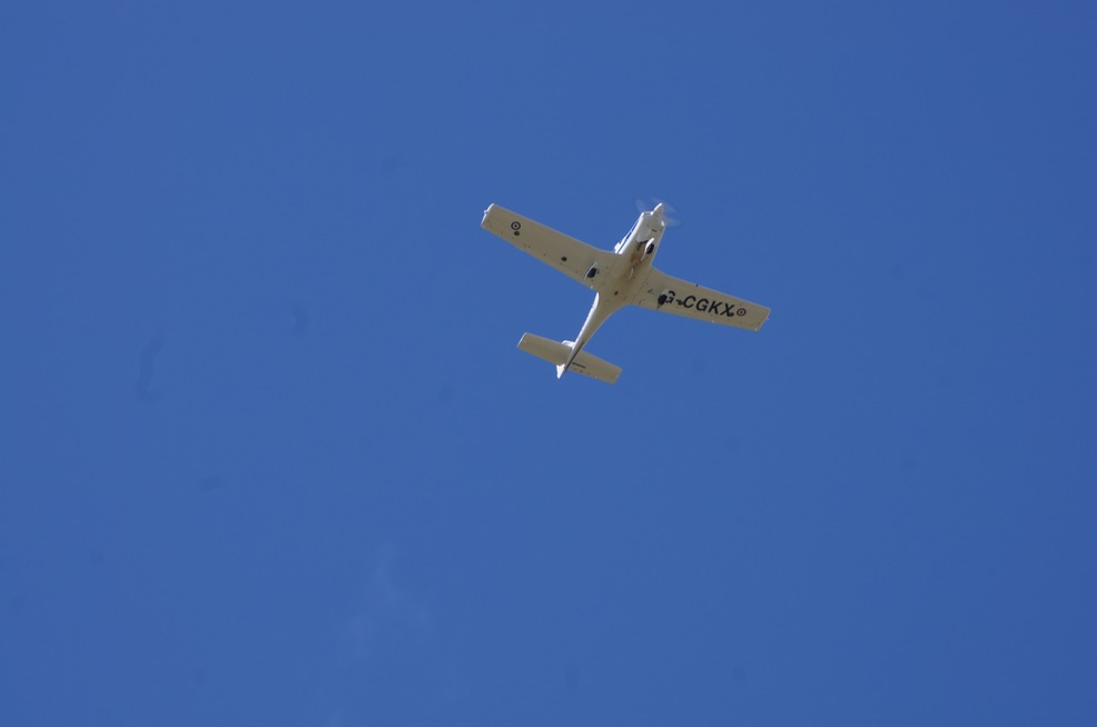 Training Flight