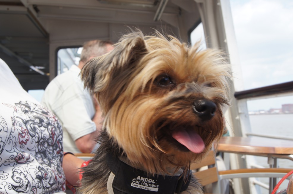 Maya crosses the Mersey