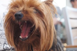 Magan gets bored with this Cruise