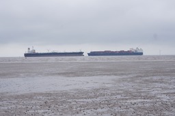 Game of Chicken goes Wrong!