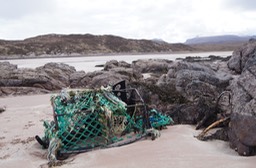 Lobster Pot