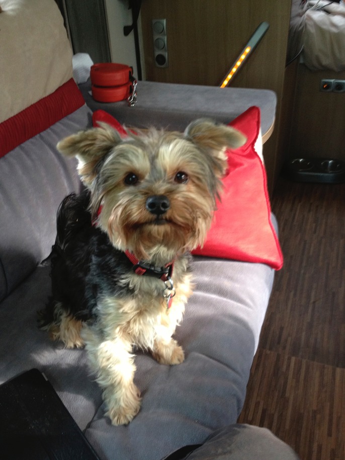 Maya - please can we go to the beach?